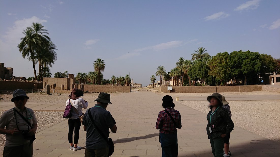 エジプト旅行　ブログ　口コミ　ルクソール神殿