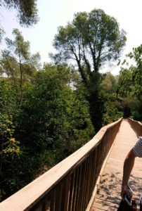 スペイン旅行　ツアー　観光　日本旅行　タラゴナ　水道橋　ブログ　口コミ