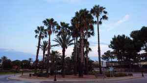 スペイン旅行　ツアー　観光　日本旅行　バレンシア　オレンジ　ホテル　バイオハザード　　バー　食事　夕食　ブログ　口コミ
