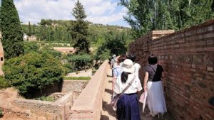 スペイン旅行　ツアー　観光　日本旅行　グラナダ　アルハンブラ宮殿　緑　絶景　移動　ブログ　口コミ