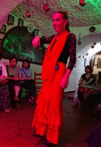 スペイン旅行　ツアー　観光　日本旅行　グラナダ　アルハンブラ宮殿　グラナダパレス　フラメンコ　ショー　男性　女性　人気　ミニバス　ブログ　口コミ