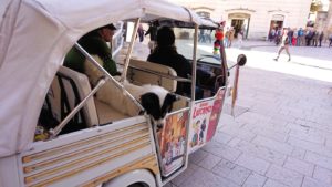 マテーラの街のヴィットリオ・ヴェネト広場を走る三輪車2