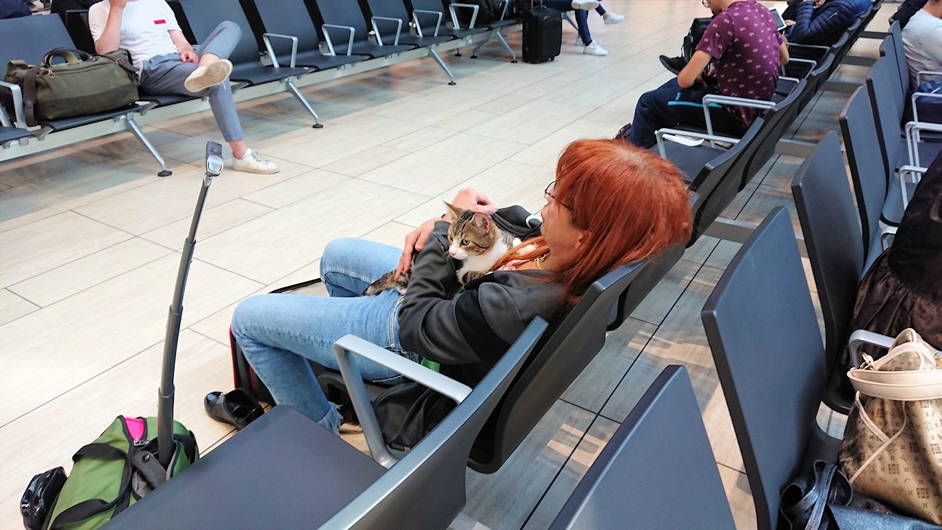 ローマ空港内で猫を抱える人2