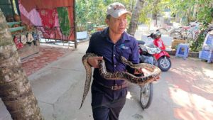 メコン川クルーズの島で蛇の首巻を体験2