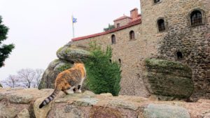 メテオラ地方でアギオス・ステファノス修道院を見守る猫2
