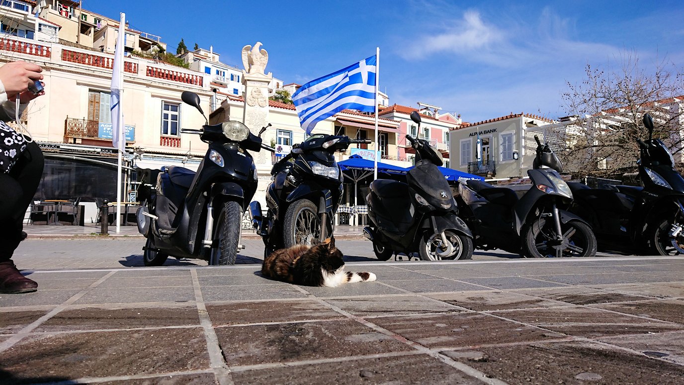 ギリシャのポロス島でも猫ちゃんと戯れる5