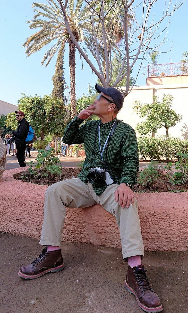 モロッコのマラケシュでバヒア宮殿の周辺で猫と遊ぶ3