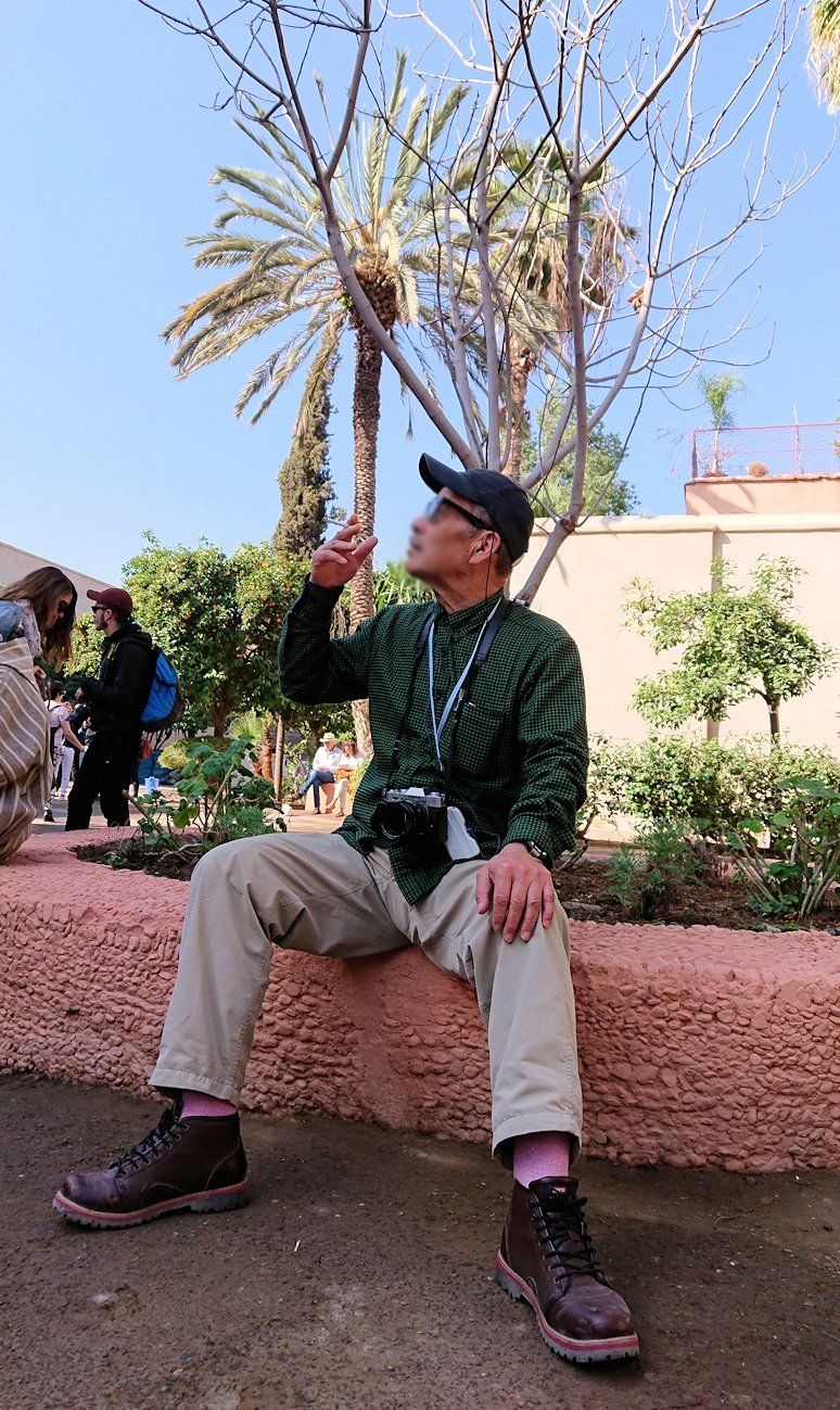 モロッコのマラケシュでバヒア宮殿の周辺で猫と遊ぶ4