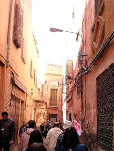 モロッコのマラケシュでバヒア宮殿から次の目的地に移動途中に見かけたもの6