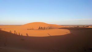 モロッコのサハラ砂漠で朝日鑑賞を済ませて遊ぶ6