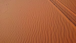 モロッコでサハラ砂漠の朝日鑑賞を終えて戻ります1