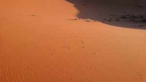 モロッコでサハラ砂漠の朝日鑑賞を終えて戻ります4