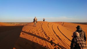 モロッコでサハラ砂漠の朝日鑑賞を終えて戻ります6