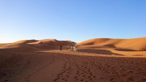 モロッコでサハラ砂漠の朝日鑑賞を終えて帰る道中の様子2
