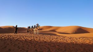 モロッコでサハラ砂漠の朝日鑑賞を終えて帰る道中の様子3