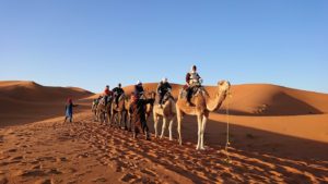 モロッコでサハラ砂漠の朝日鑑賞を終えて帰る道中の様子4