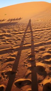 モロッコでサハラ砂漠の朝日鑑賞を終えて帰る道中の様子6