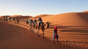 モロッコでサハラ砂漠の朝日鑑賞を終えて帰る道中の様子9