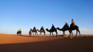モロッコでサハラ砂漠でラクダに乗って帰るメンバーの写真1