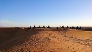 モロッコでサハラ砂漠でラクダに乗って帰るメンバーの写真2