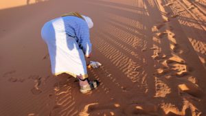 モロッコでサハラ砂漠でラクダに歩いて帰るメンバーの写真1