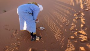 モロッコでサハラ砂漠でラクダに歩いて帰るメンバーの写真2