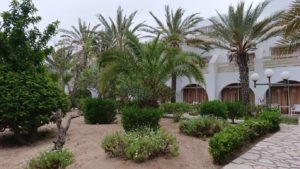 チュニジアのスースの街にある「マルハバ　ロイヤル　サレム」ホテルで朝敷地内を散策8