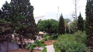 チュニジアのスースの街にある「マルハバ　ロイヤル　サレム」ホテルで朝敷地内を散策9