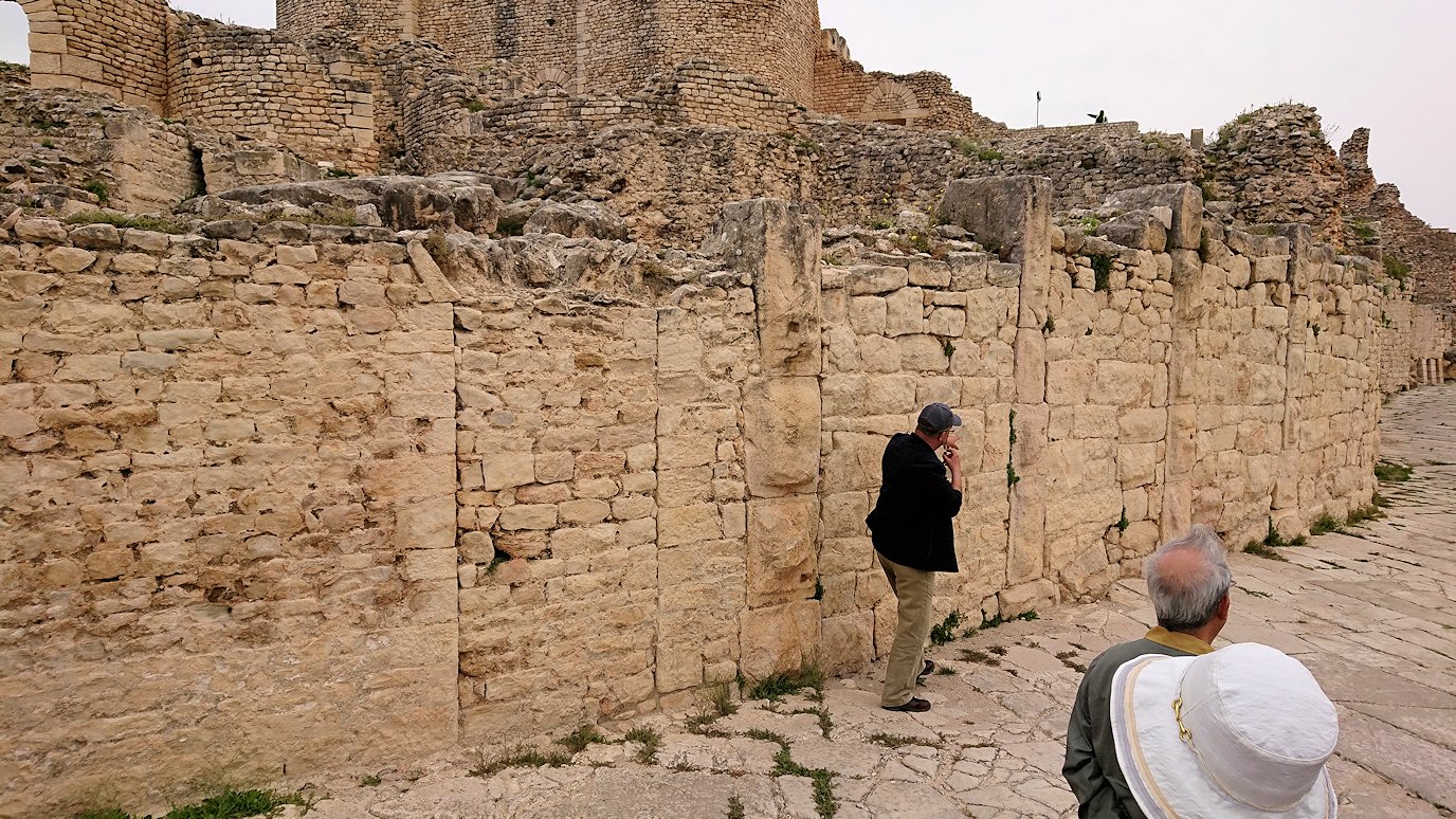 チュニジアのドゥッガ遺跡で見学