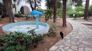 チュニジア：スースのホテルで朝日を楽しみにホテル内を散策5