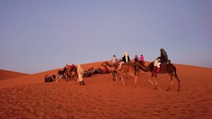 モロッコのサハラ砂漠で朝日鑑賞を目的に歩く3