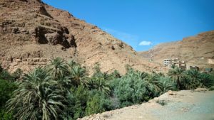 モロッコのトドラ渓谷に向かう途中に見えた景色3