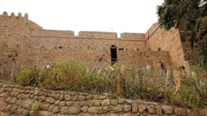 チュニジア：ケリビアの城塞跡に到着9