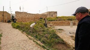 チュニジア：ケリビアの城塞跡の様子は4
