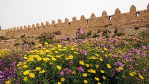 チュニジア：ケリビアの城塞跡の様子は7