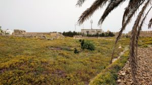チュニジア：ケリビアの城塞跡の見学はまだまだ続く4