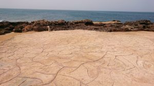 チュニジア：ボン岬から海を見下ろす5
