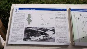 チュニジア：ボン岬のケルクアン遺跡に入場3