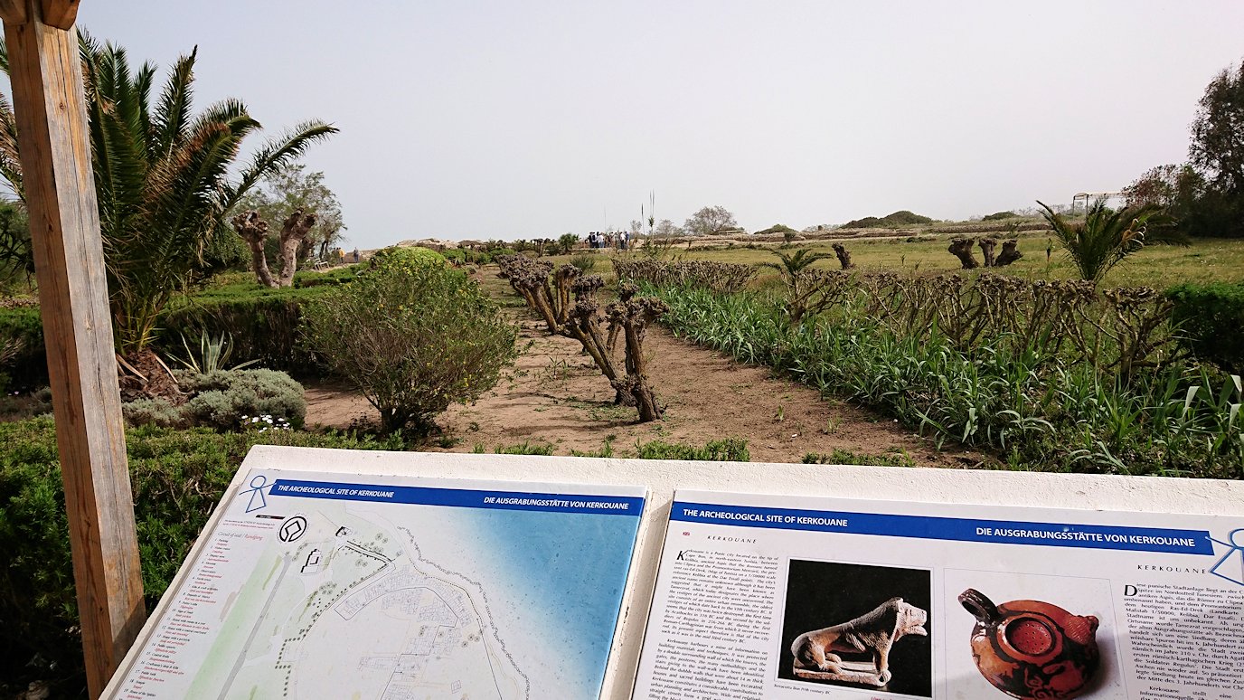 チュニジア：ボン岬のケルクアン遺跡に入場6