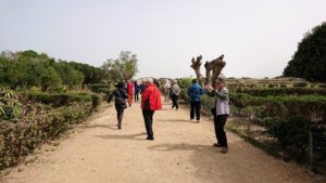 チュニジア：ボン岬のケルクアン遺跡内を進んで行く1
