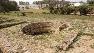 チュニジア：ボン岬のケルクアン遺跡を見学していく2