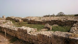 チュニジア：ボン岬のケルクアン遺跡を見学していく3