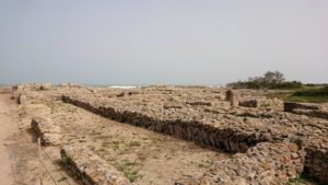 チュニジア：ボン岬のケルクアン遺跡を見学していく6