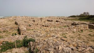 チュニジア：ボン岬のケルクアン遺跡を見学していく8