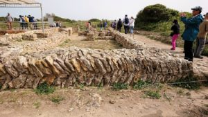 チュニジア：ボン岬のケルクアン遺跡を観光1