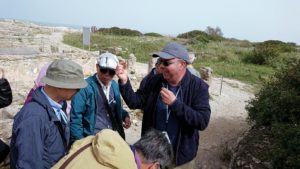 チュニジア：ボン岬のケルクアン遺跡を観光6