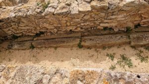 チュニジア：ボン岬のケルクアン遺跡内のタニト神を拝む9