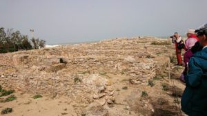 チュニジア：のケルクアン遺跡内の住居部分を見学2