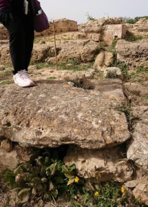 チュニジア：のケルクアン遺跡内の住居部分を見学6