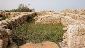チュニジア：のケルクアン遺跡内の風呂跡を見てみる4